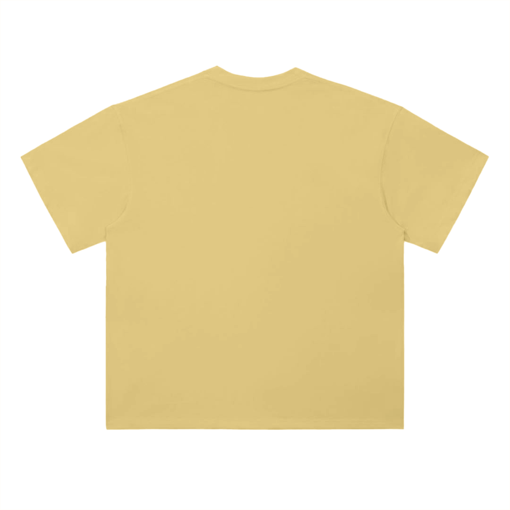 PLAKO ESSENTIALS 2001 HEAVYWEIGHT TEE [BLACK EDITION]