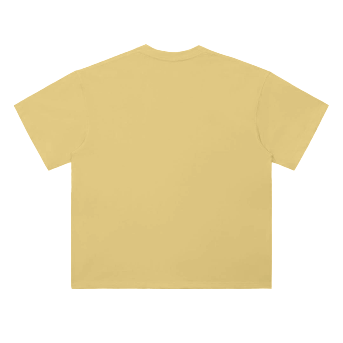 PLAKO ESSENTIALS 2001 HEAVYWEIGHT TEE [BLACK EDITION]