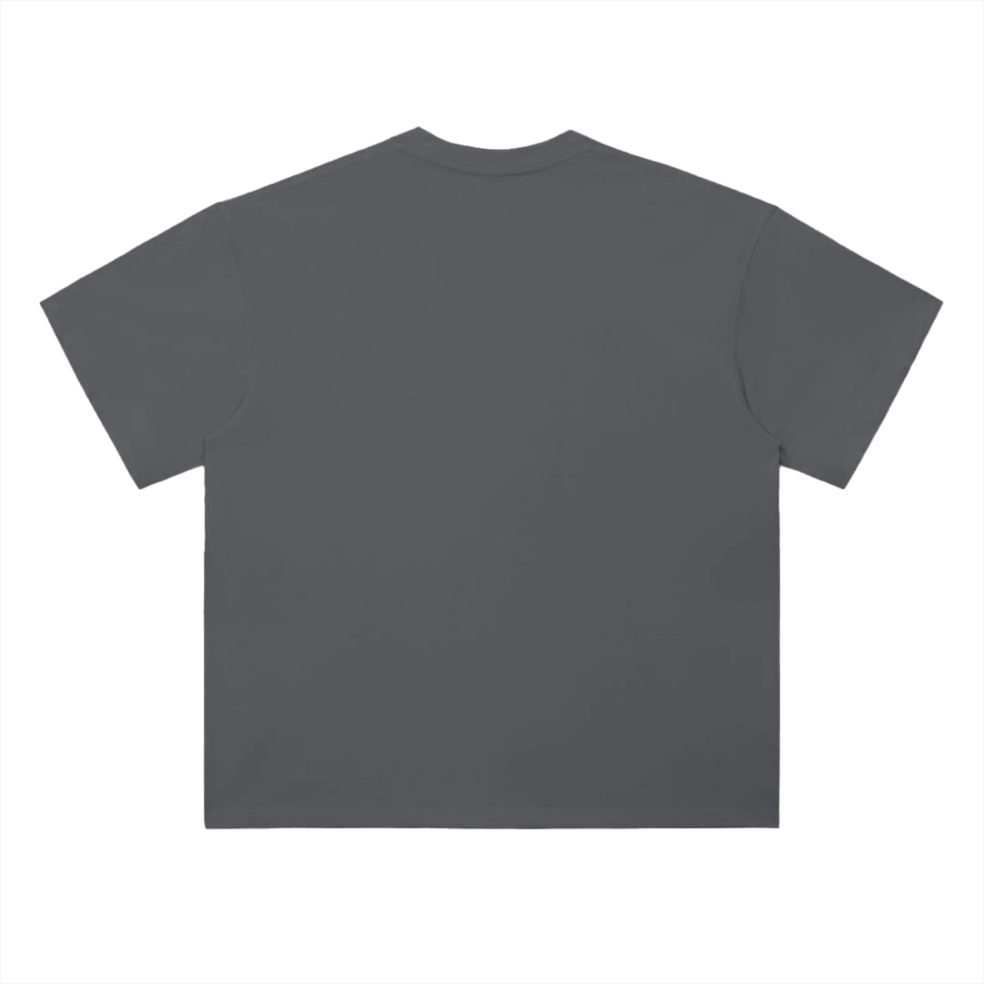 PLAKO ESSENTIALS 2001 HEAVYWEIGHT TEE [BLACK EDITION]