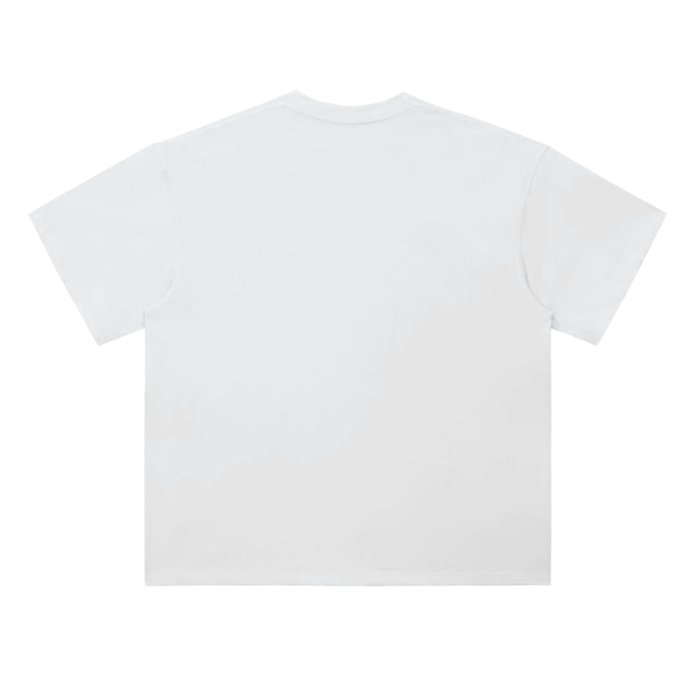 PLAKO ESSENTIALS 2001 HEAVYWEIGHT TEE [BLACK EDITION]